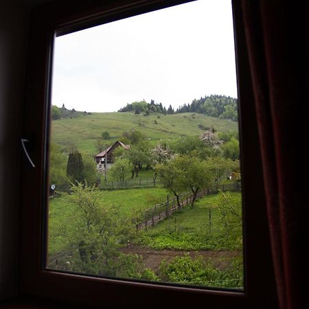 Ferienwohnung Casa Hille Măgura Exterior foto